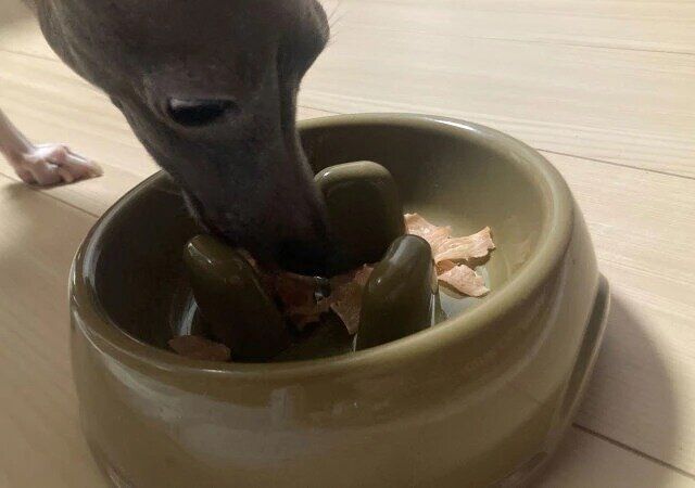 ダイソー 凸凹デザイン 滑り止め