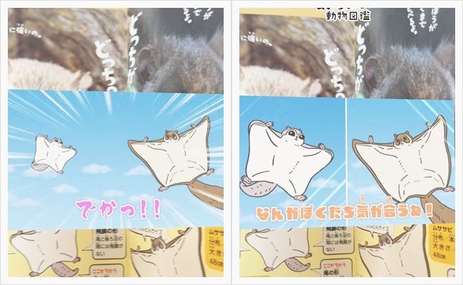 ミニ図鑑「世界一まぎらわしい動物図鑑 クイズブック」