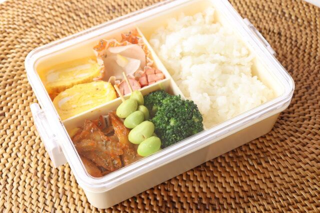 ダイソー 抗菌ランチボックス（1段、650ml） 使用例