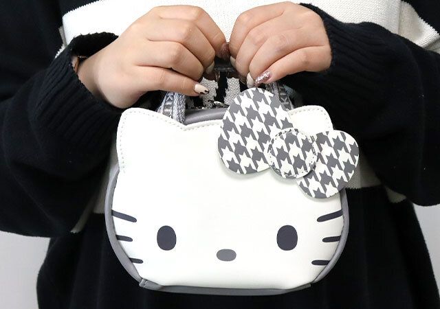 宝島社ムック付録のハローキティとブリルミーの中身が見えて時短がかなうズボラに優しいコスメポーチ6