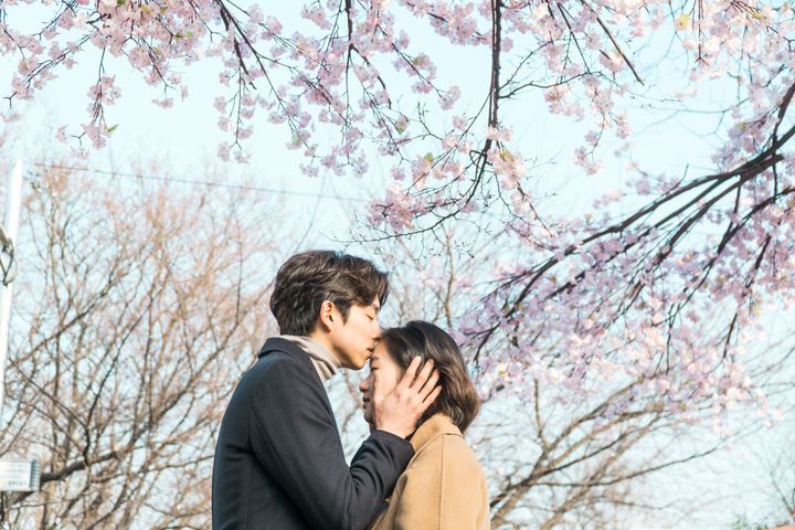 桜の木の下でキム・シンがチ・ウンタクにプロポーズ。Photo_ コンテンツセブン/© STUDIO DRAGON CORPORATION