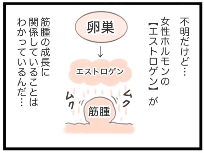 #子宮筋腫ができたのは私のせい？ 4