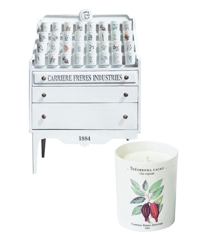 〈Carrière Frères（キャリエール・フレール）〉を刷新