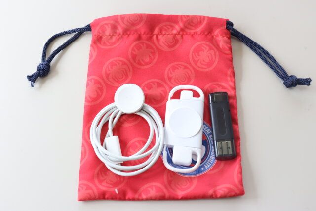 ダイソーの小物収納できる縦長布巾着（スパイディ）