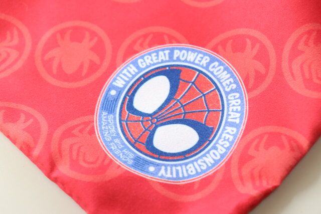 ダイソーのカッコイイ縦長布巾着（スパイディ）