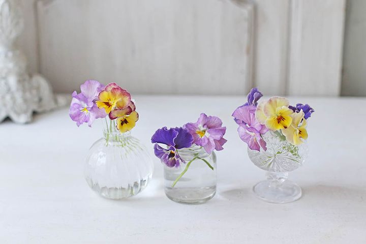 パンジー＆ビオラのアレンジ