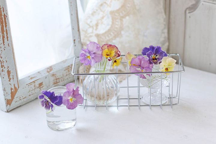 パンジー＆ビオラのアレンジ