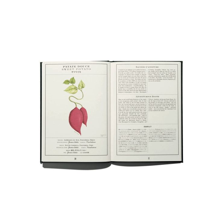 L’HERBIER ODORIFÉRANT DE L’OFFICINE UNIVERSELLE BULY