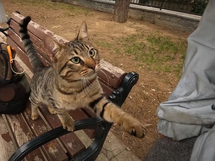 小悪魔すぎるって…！