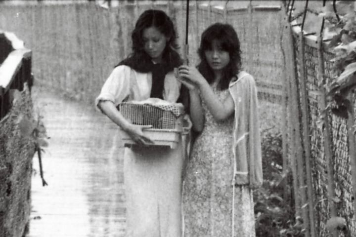 映画『風たちの午後』