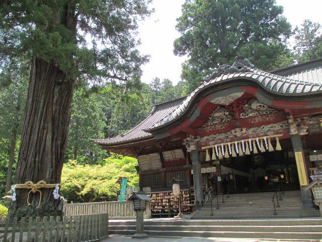 拝殿と樹齢千年の御神木