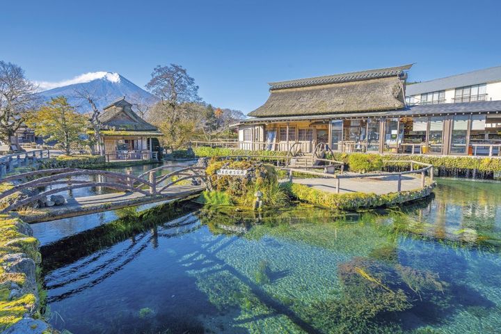 清らかな湧水で知られる忍野八海 （写真は湧池近くの中池）