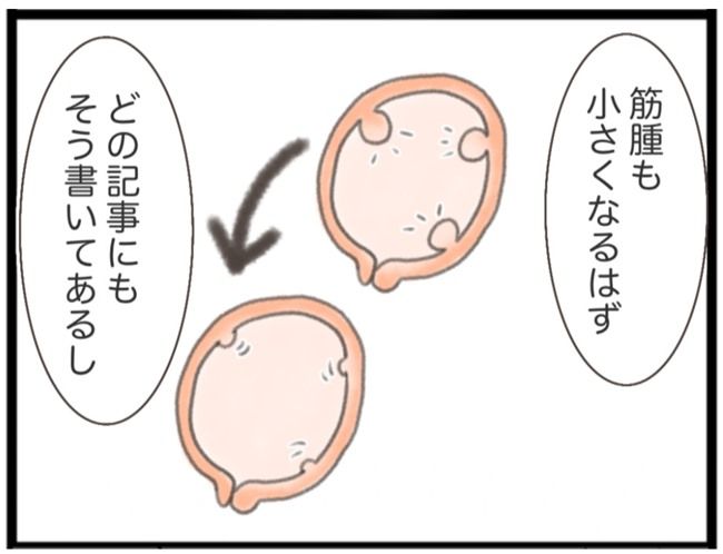 #子宮筋腫ができたのは私のせい？ 5