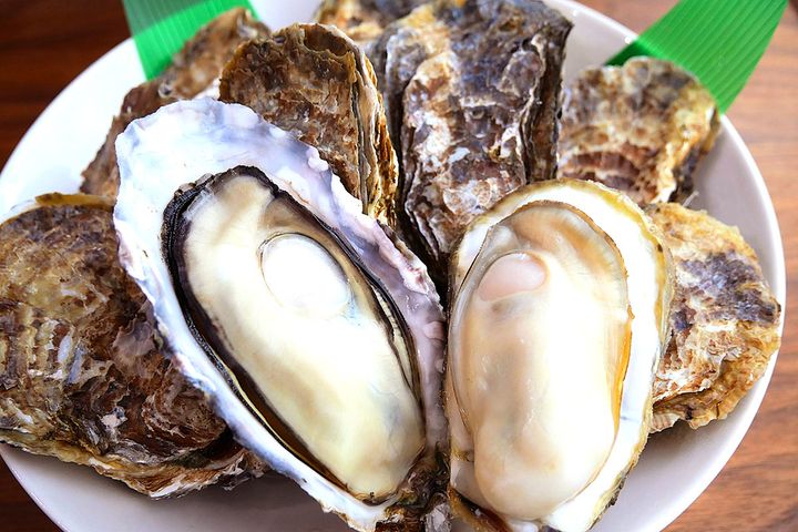 カキが海のミルクと呼ばれる理由は？