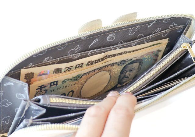 ミッフィー耳長財布付録レビューお札入れ