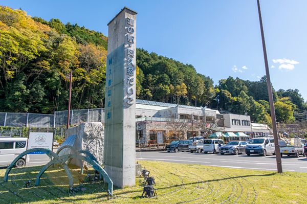 上級キャンパーが徹底解説！星空キャンプを有意義に過ごすためのテクニックとは？