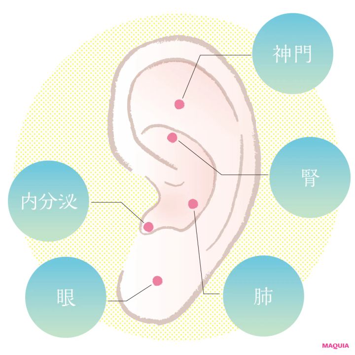美プロがハマる「耳ツボ美容」を深掘り。耳に刺激を与えることで全身運動級の効果が！