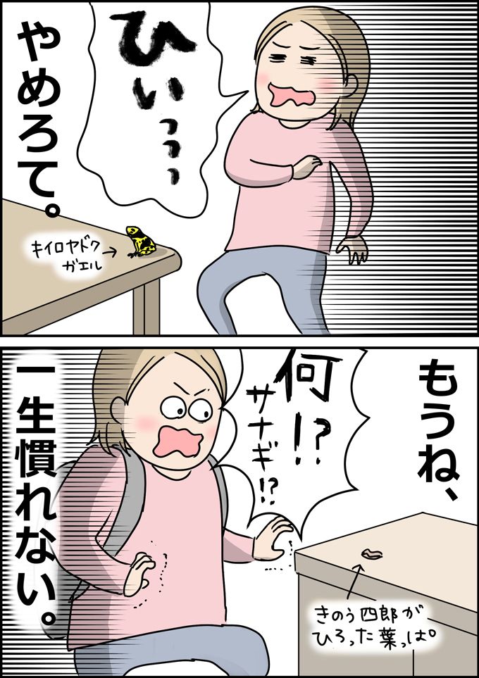 やめろて。分かってはいるけど、いちいちびっくりするわが家のおもちゃ。 回避する方法はただひとつ【うちの男子（だんご）4兄弟・15】の画像5