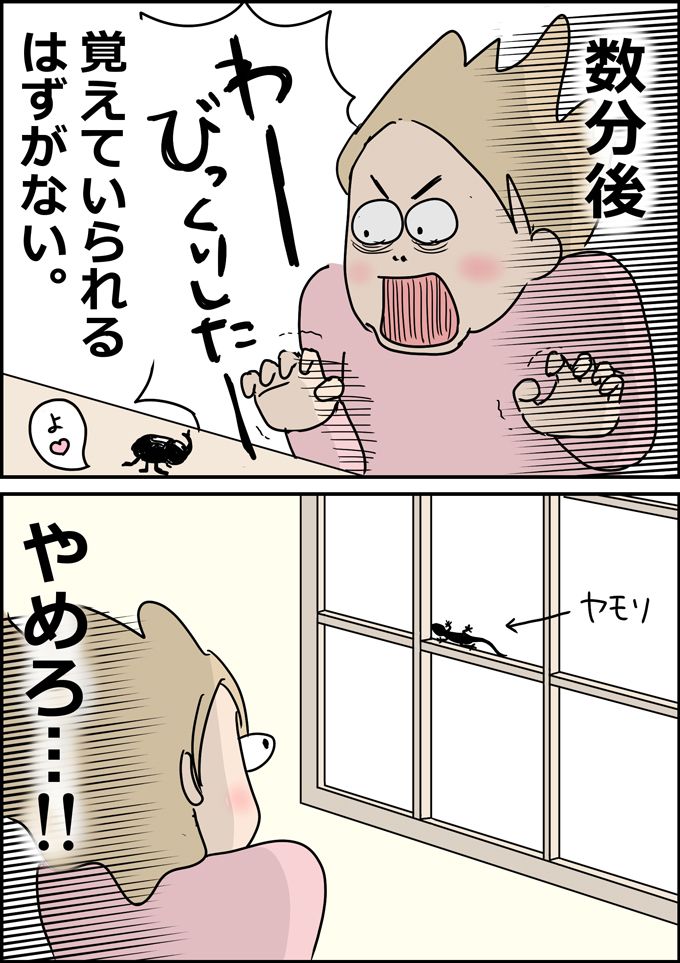 やめろて。分かってはいるけど、いちいちびっくりするわが家のおもちゃ。 回避する方法はただひとつ【うちの男子（だんご）4兄弟・15】の画像4