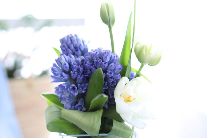 ヒヤシンスのアレンジ