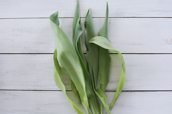 ヒヤシンスのアレンジ