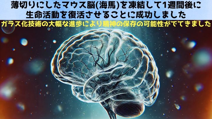脳の一部を凍らせて1週間後に蘇生することに成功！