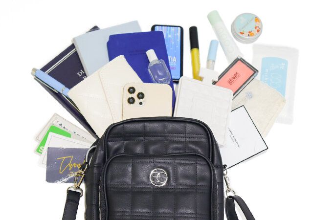 エゴイスト付録ショルダーバッグ これだけの荷物を一つに収納