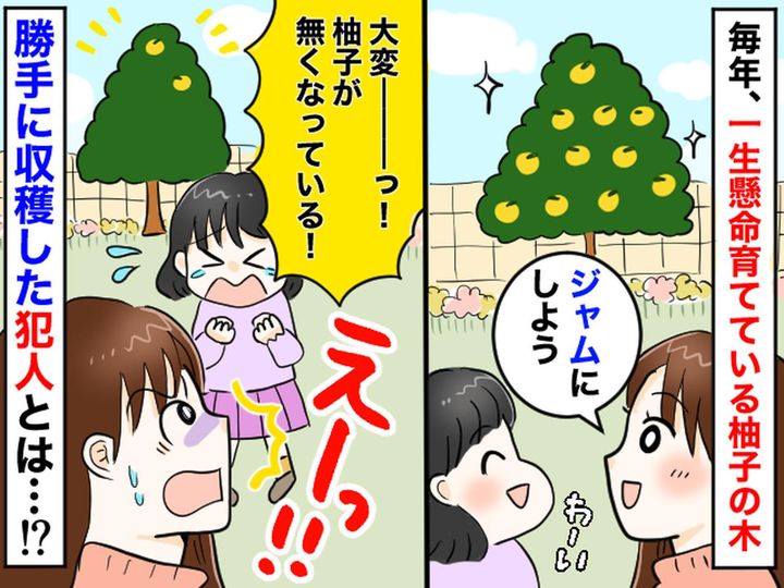 画像: 「うちの庭の柚子が消えた！？ 」張り込みの末に見つけた【かんきつ泥棒】→ まさかの言い訳に衝撃！