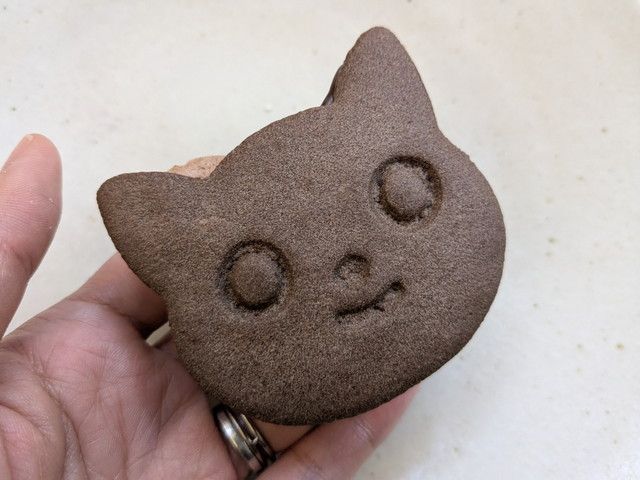 ファミリ～にゃ～ト大作戦！