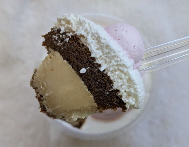 ファミリ～にゃ～ト大作戦！