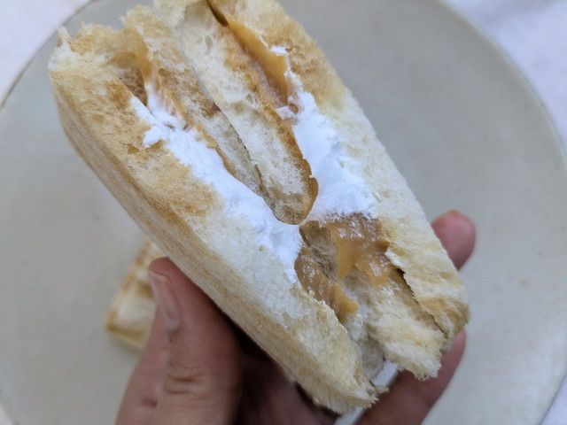 ファミリ～にゃ～ト大作戦！