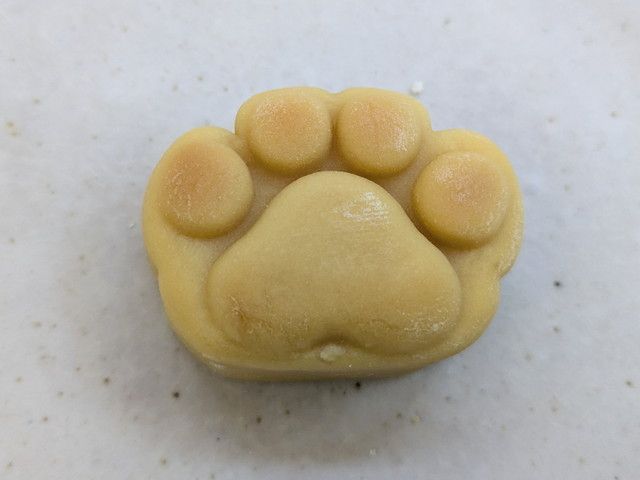 ファミリ～にゃ～ト大作戦！