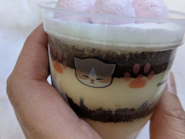 ファミリ～にゃ～ト大作戦！