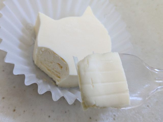 ファミリ～にゃ～ト大作戦！