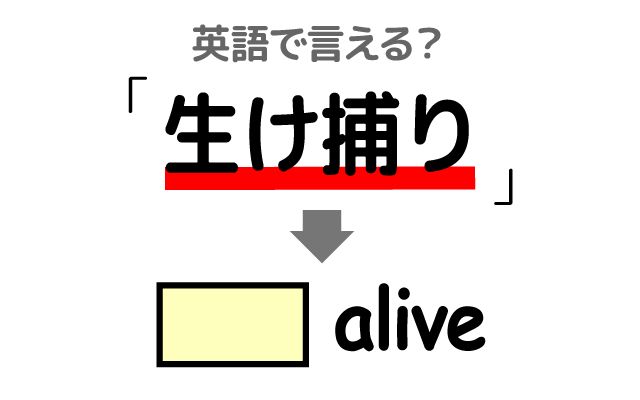 英語で【生け捕り】は何て言う？「動物園」などの英語もご紹介