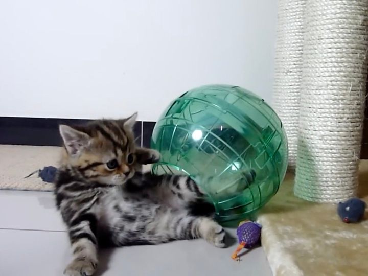 楽しく遊んでいたら、まさかの展開に…