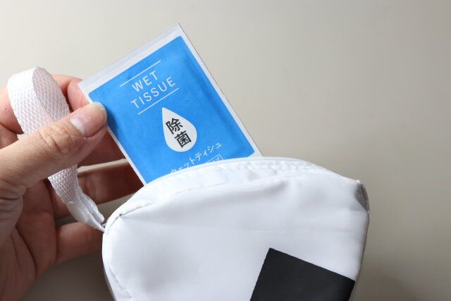 ダイソー 除菌ができるウェットティッシュ 持ち運び