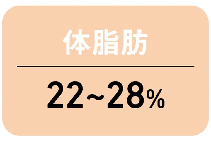 40代の理想的な体脂肪率
