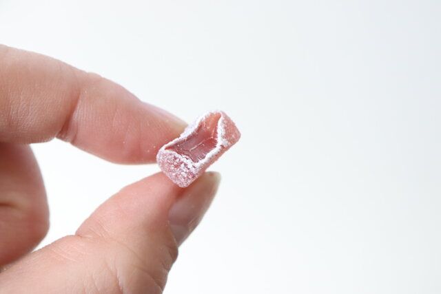 カンデミーニャグミ 断面