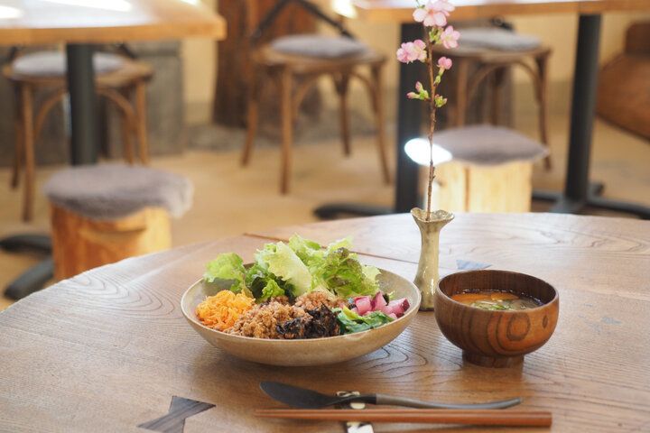 河津桜を眺めながら♪ 絵本の世界に迷い込んだようなログハウスカフェで特別なランチを「ホドホドBase」