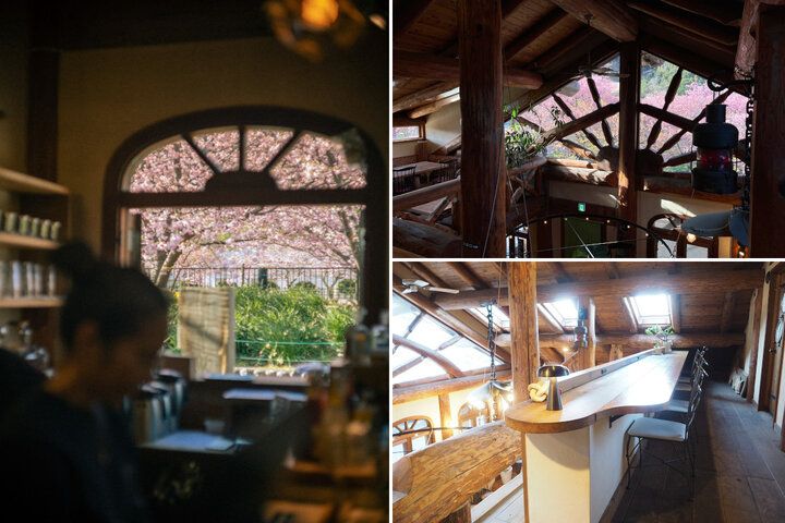河津桜を眺めながら♪ 絵本の世界に迷い込んだようなログハウスカフェで特別なランチを「ホドホドBase」