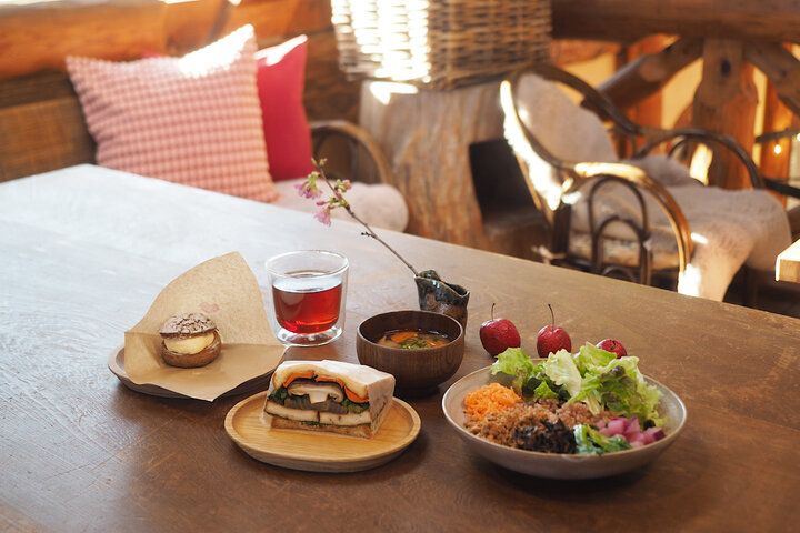河津桜を眺めながら♪ 絵本の世界に迷い込んだようなログハウスカフェで特別なランチを「ホドホドBase」