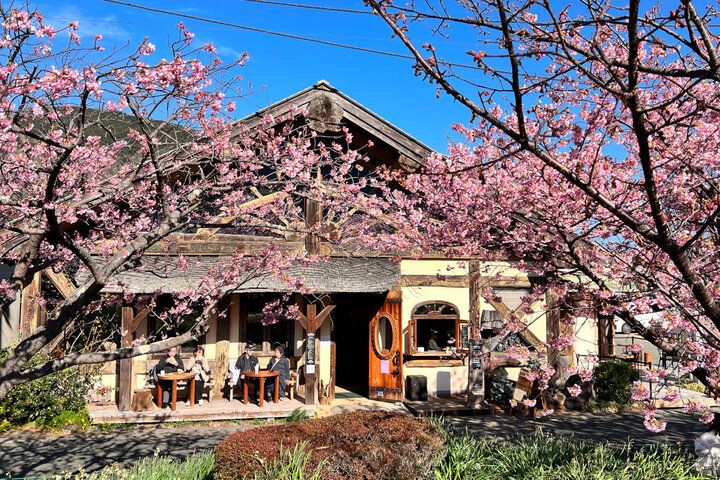 河津桜を眺めながら♪ 絵本の世界に迷い込んだようなログハウスカフェで特別なランチを「ホドホドBase」