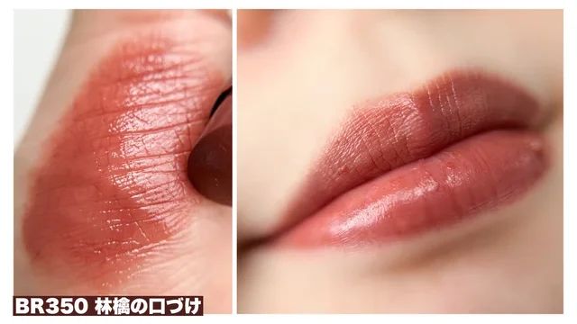 ブラウンリップ ヴィセ ネンマクフェイク ルージュ BR350