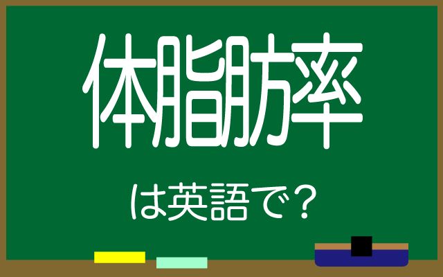 英語で【体脂肪率】は何て言う？「10%を切って」などの英語もご紹介