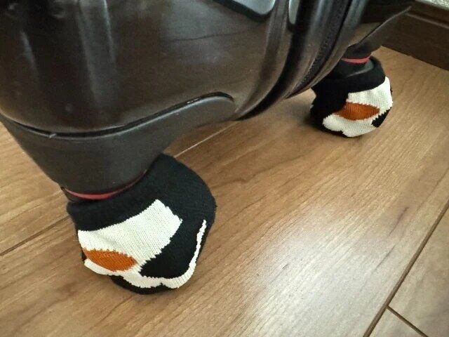 ダイソー 猫足 転がり防止