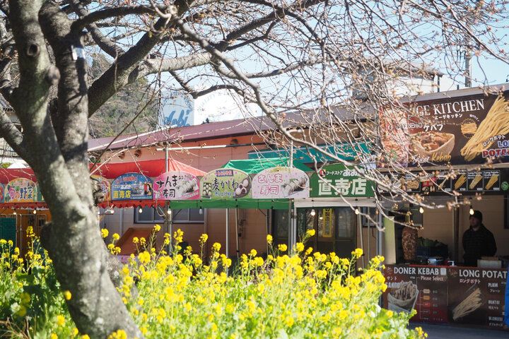 ひと足早く春をお届け♪ 伊豆でピンク色の魔法に包まれる「河津桜まつり2025」レポ