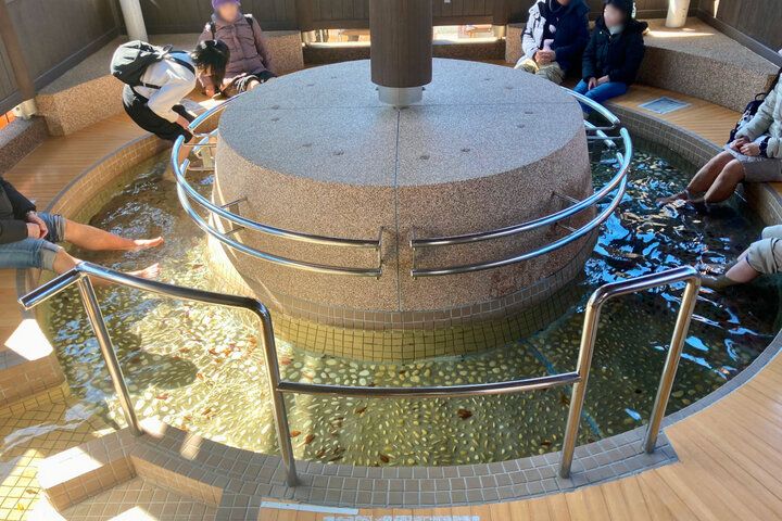 ひと足早く春をお届け♪ 伊豆でピンク色の魔法に包まれる「河津桜まつり2025」レポ