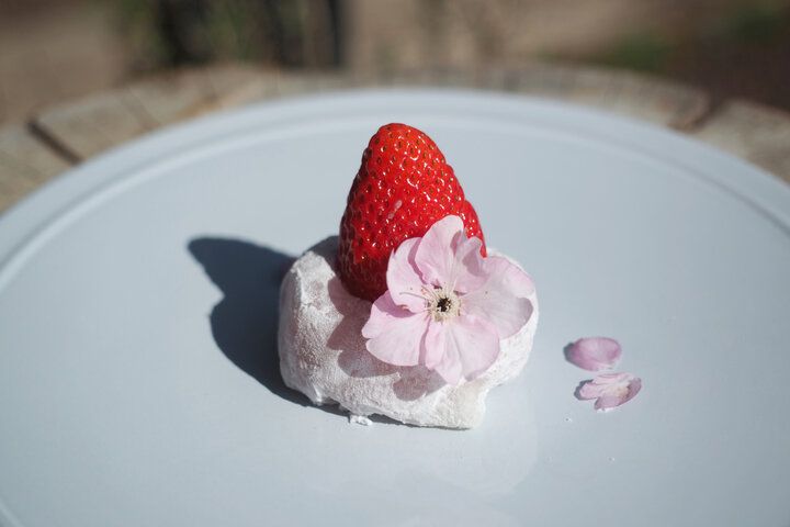 ひと足早く春をお届け♪ 伊豆でピンク色の魔法に包まれる「河津桜まつり2025」レポ