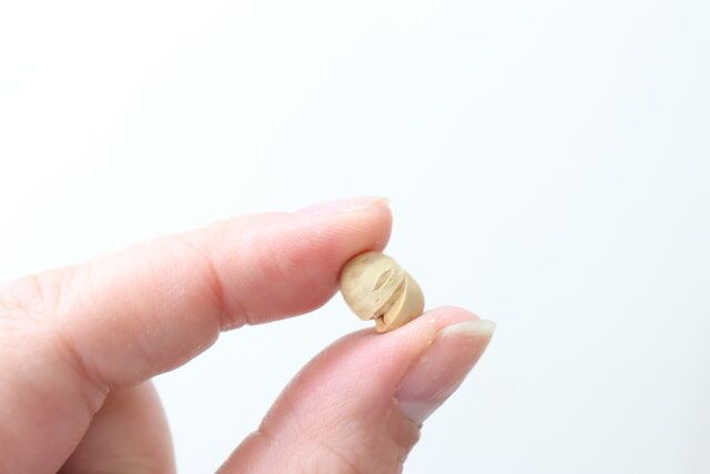 ダイソー 大豆とチーズで栄養＋もぐもぐサプリたんぱく質プラス 大豆